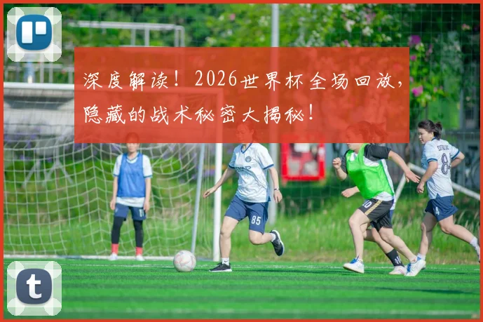 深度解读!2026世界杯全场回放,隐藏的战术秘密大揭秘!