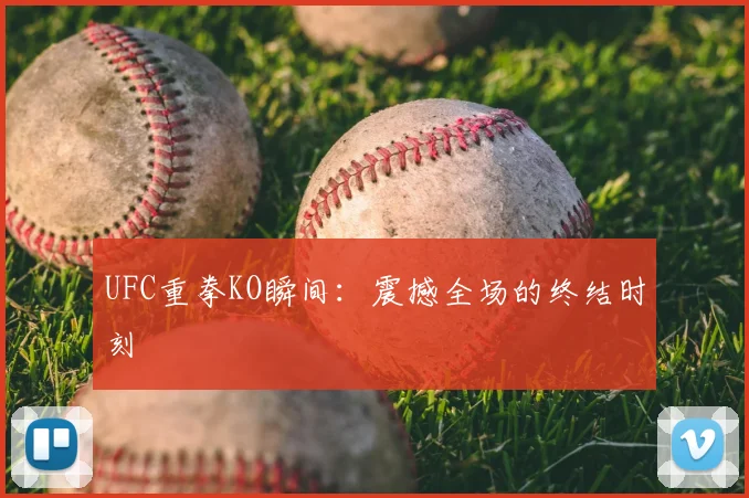 UFC重拳KO瞬间:震撼全场的终结时刻
