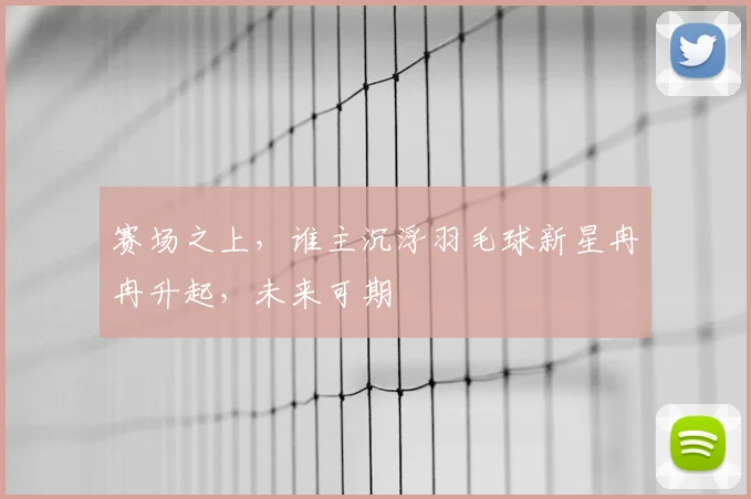 赛场之上,谁主沉浮羽毛球新星冉冉升起,未来可期