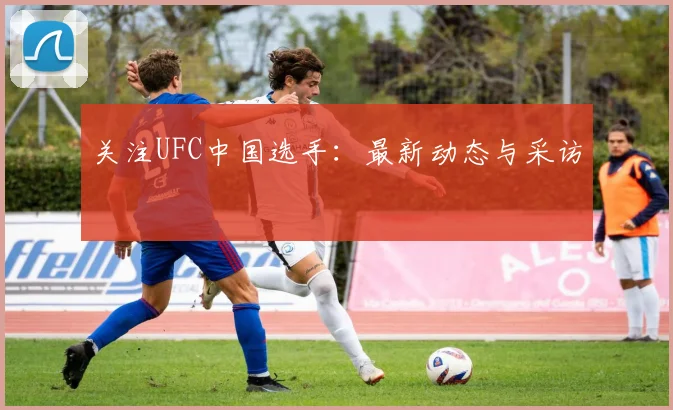 关注UFC中国选手：最新动态与采访