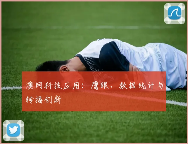 澳网科技应用:鹰眼、数据统计与转播创新