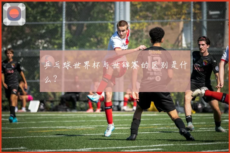 乒乓球世界杯与世锦赛的区别是什么?