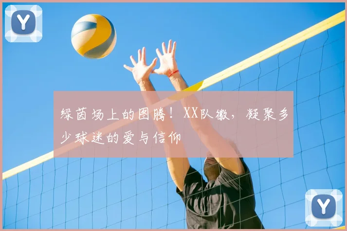 绿茵场上的图腾!XX队徽,凝聚多少球迷的爱与信仰