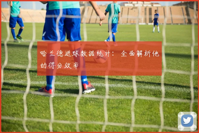 哈兰德进球数据统计：全面解析他的得分效率