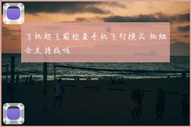 飞机起飞前检查手机飞行模式 机组会支持我吗