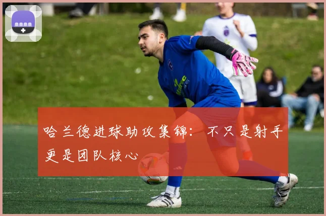 哈兰德进球助攻集锦:不只是射手更是团队核心